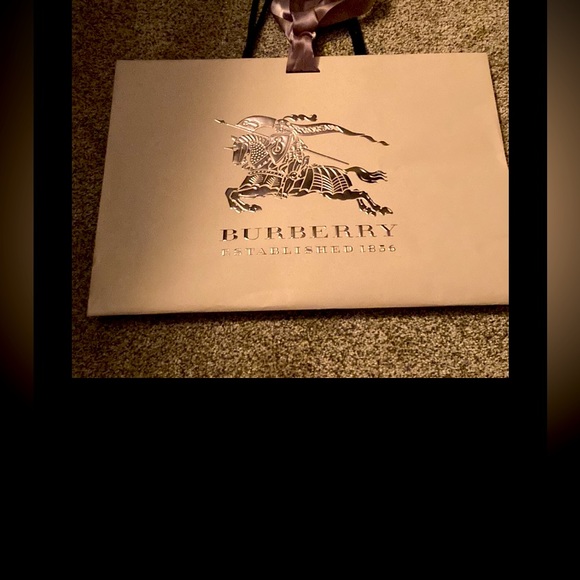 Burberry Gift bag /shopping bag large excellent condition - Picture 1 of 3